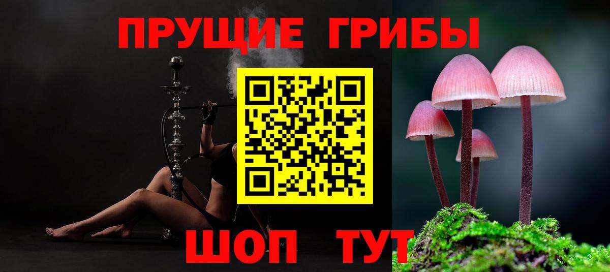 Луховицы  Псилоцибиновые грибы Psilocybe  Вход с VPN  Псилоцибиновые грибы Psilocybe 